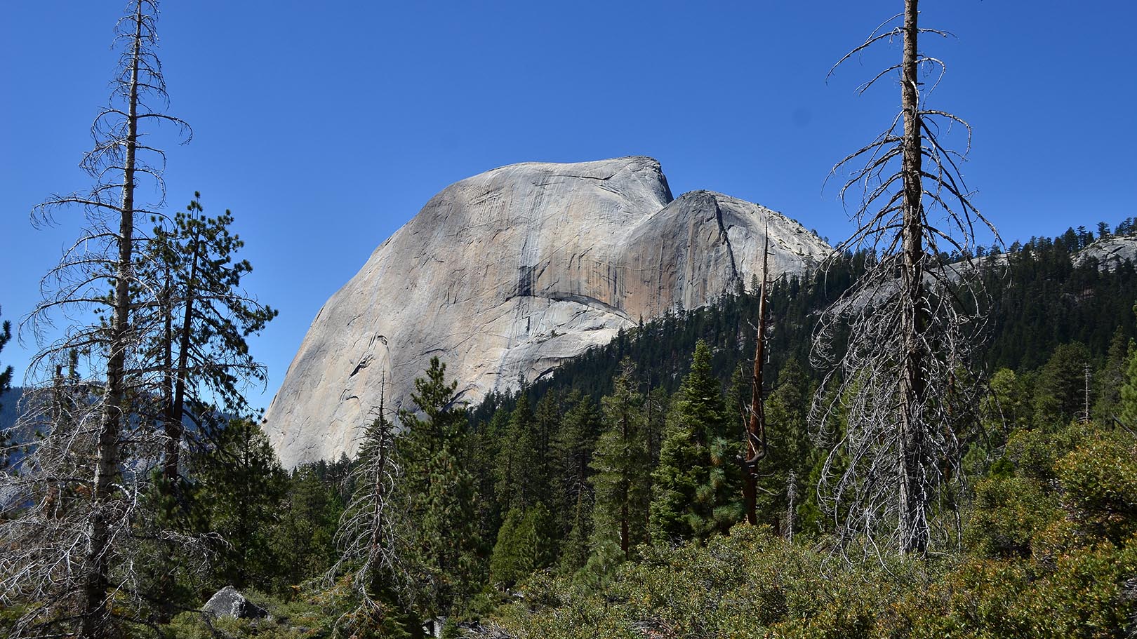 First view of Half Dome