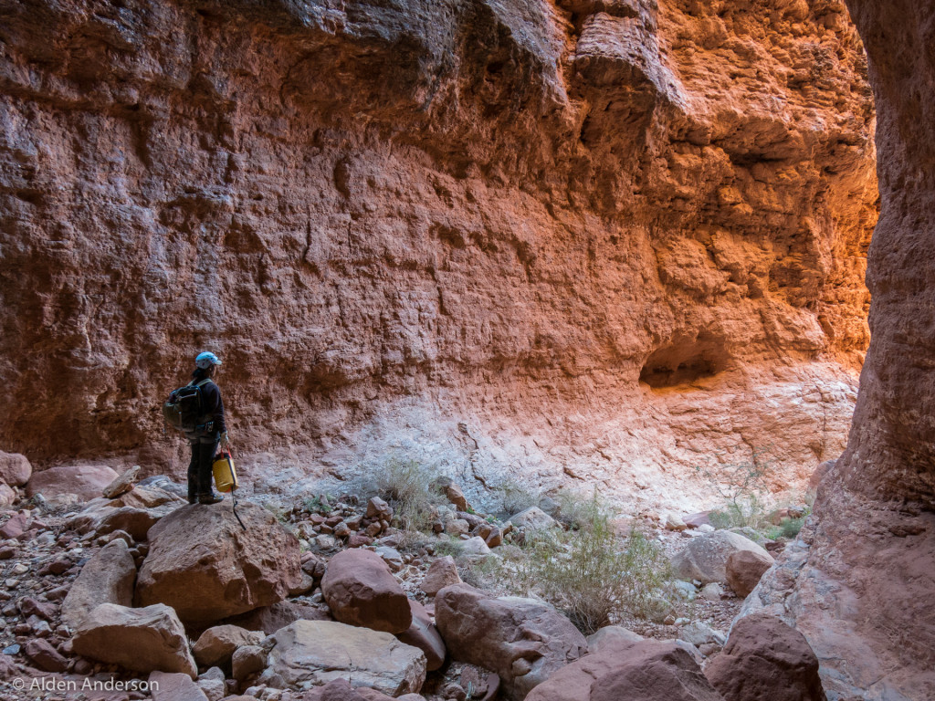 Afternoon light in the canyon.