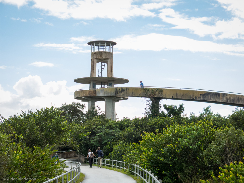 Shark Valley Observatory Tower