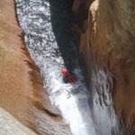 Swimming away from the falls.