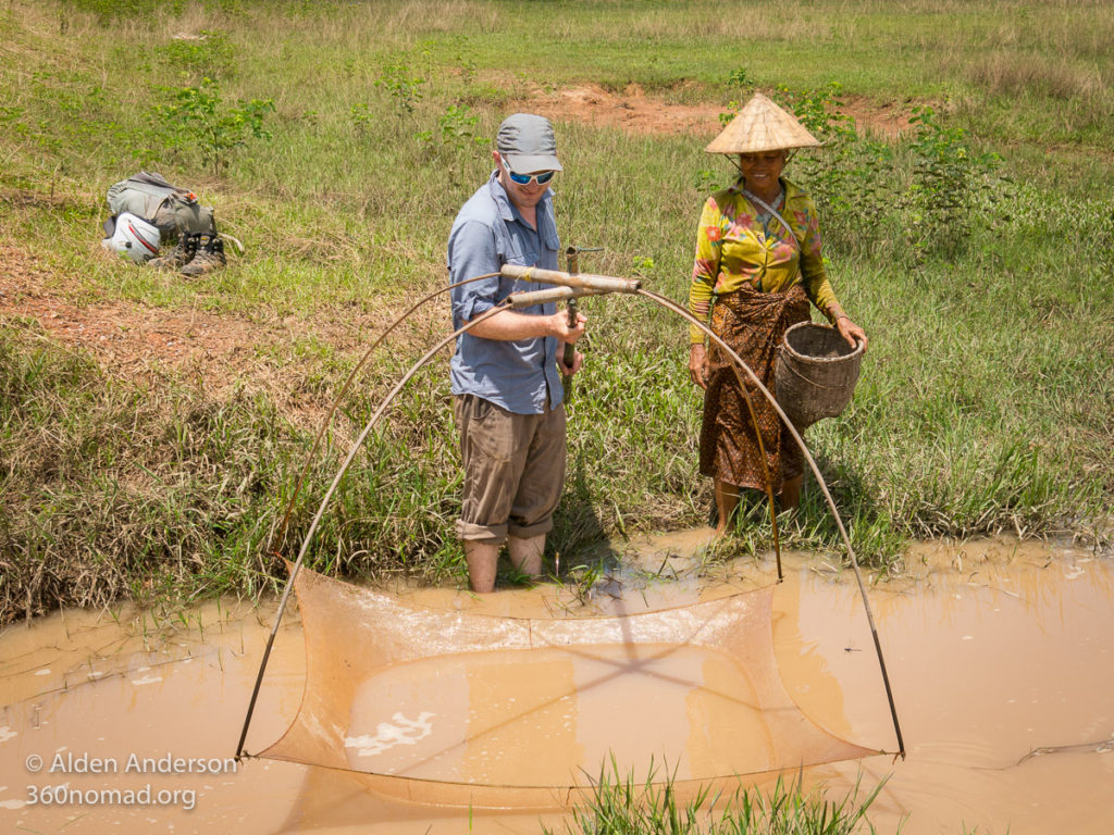 Fishing in the rice fields