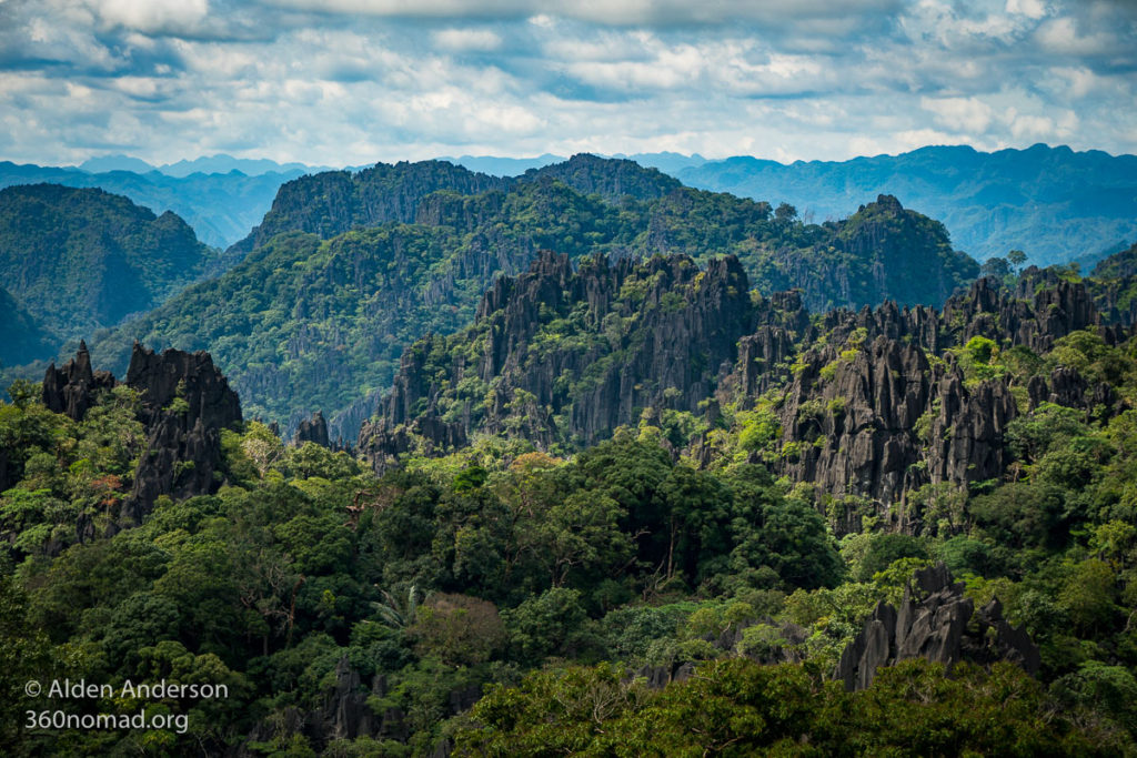Limestone Forest Viewpoint