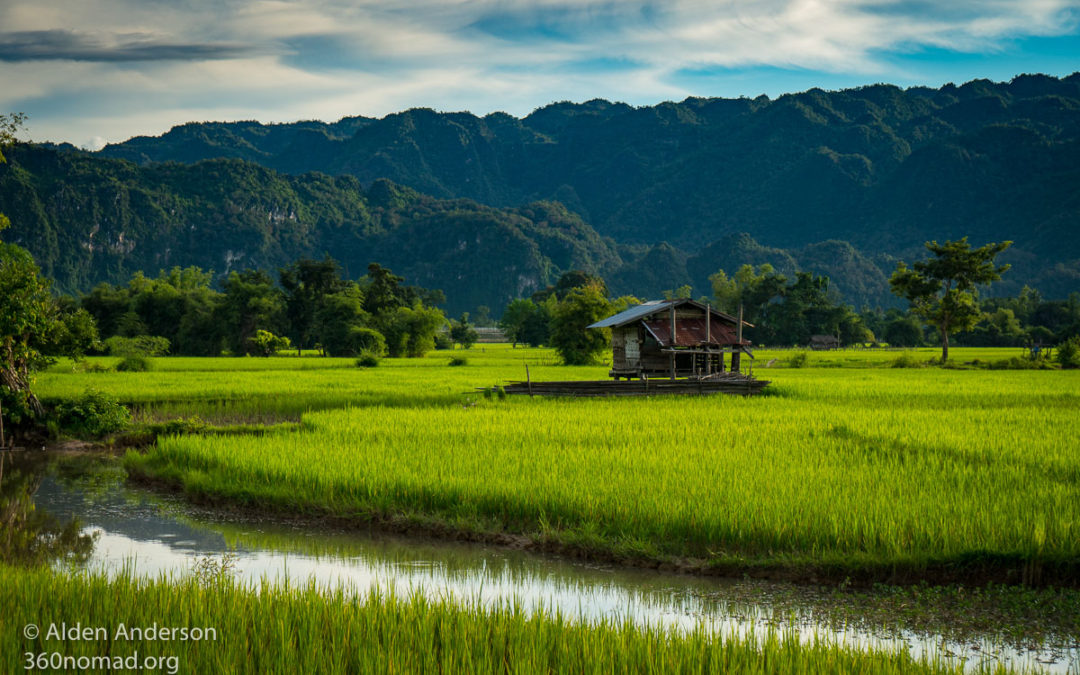 Thakhek Loop Laos Rice Field