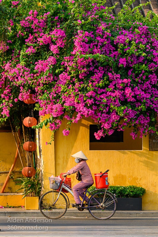 Colors of Hoi An 1 Thuy bougainvillea