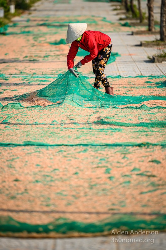 Hoa Gathering Krill Hoi An 