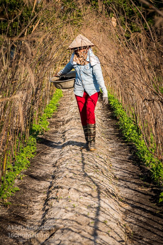 Minh, Farmer, Hoi An, Vietnam 