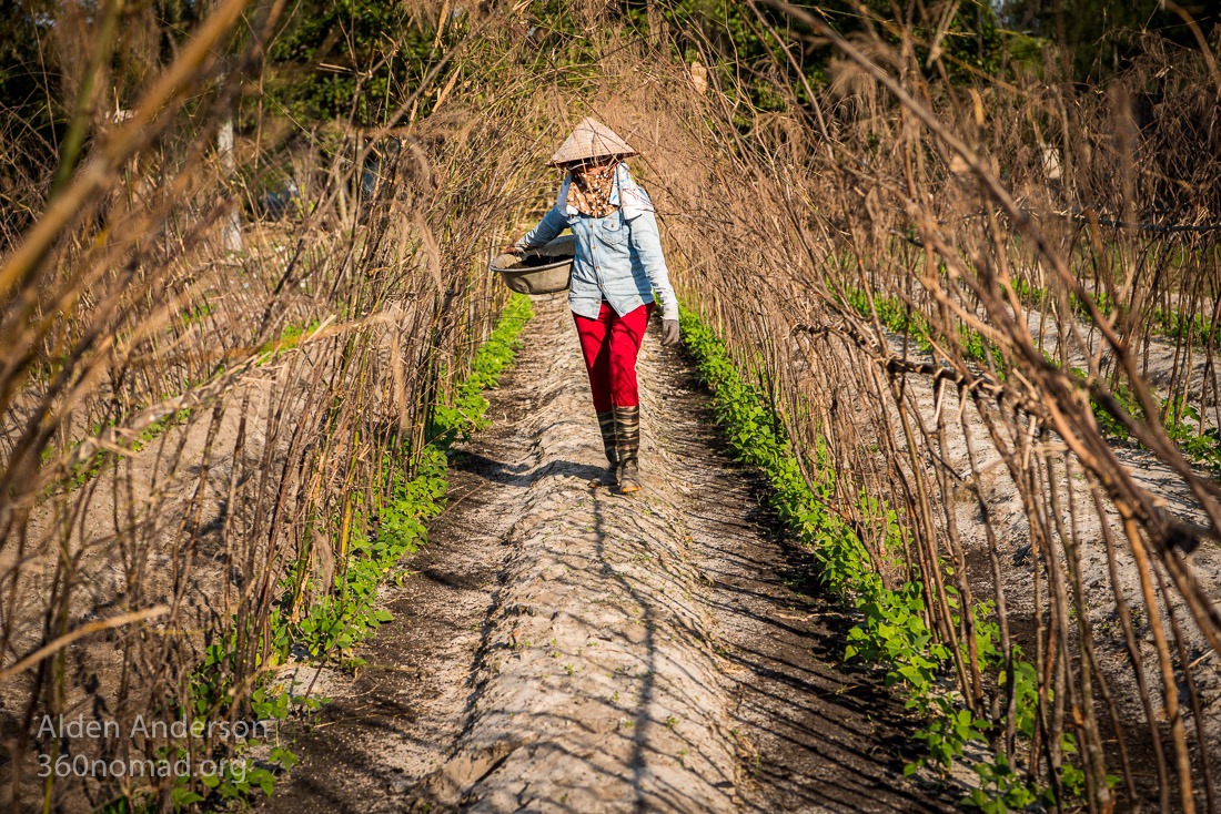 Minh Farmer Hoi An, Vietnam